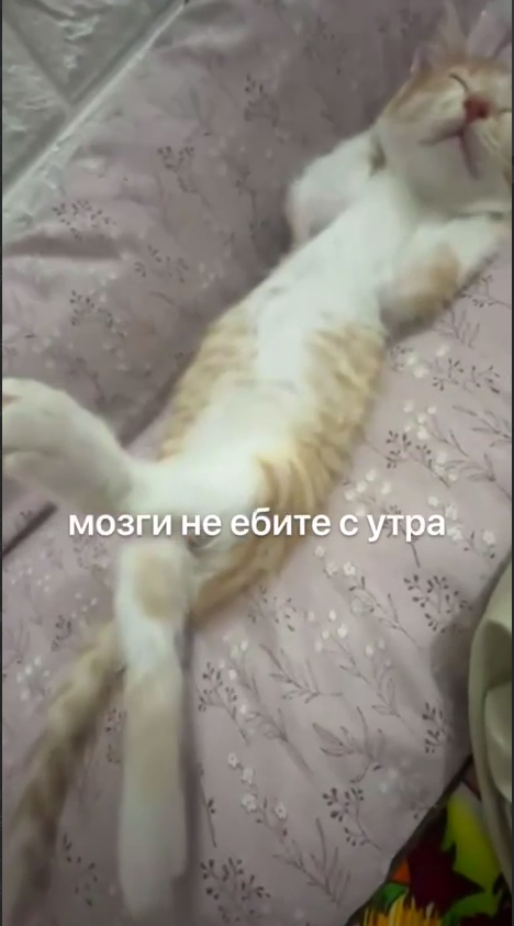 1746677451272.png
