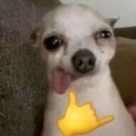 MeNeverTilt