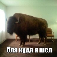 Хоминатор