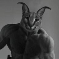 Alfasamece